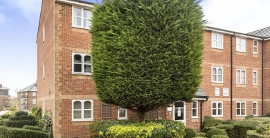 Taunton Drive